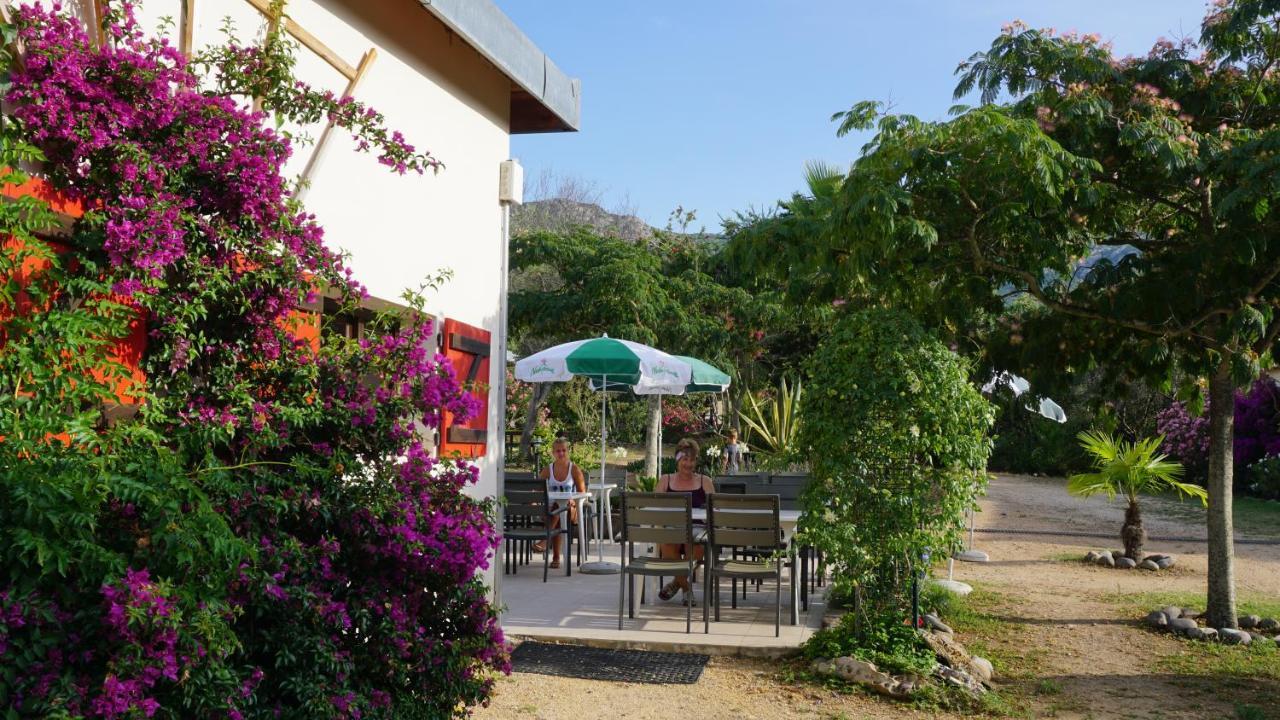 Feriendorf La Mora Calvi  Exterior foto