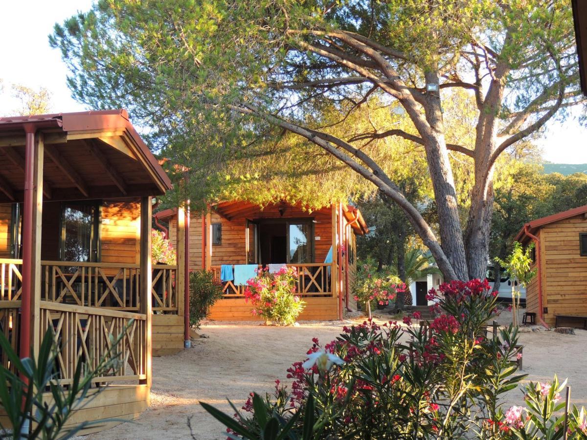 Feriendorf La Mora Calvi  Exterior foto