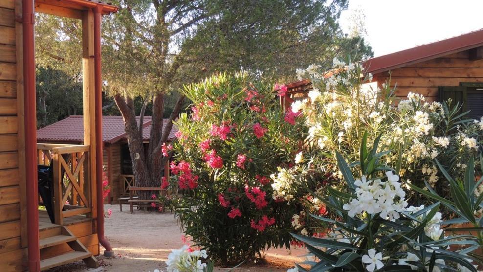 Feriendorf La Mora Calvi  Exterior foto